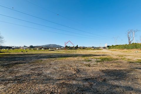 Terra a Brito, Braga, Brito - € 1.500/mes | Ref: L-TR-28-26 - foto 12