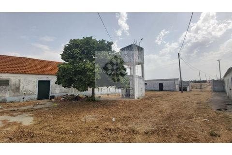 Farm i Palmela, Setubal, Palmela - € 385.000 | Ref: IMOPP-00281 - foto 2