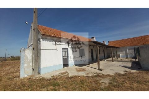 Farm i Palmela, Setubal, Palmela - € 385.000 | Ref: IMOPP-00281 - foto 3