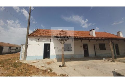 Farm i Palmela, Setubal, Palmela - € 385.000 | Ref: IMOPP-00281 - foto 9
