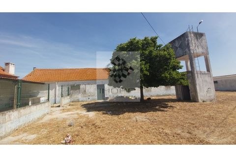 Farm i Palmela, Setubal, Palmela - € 385.000 | Ref: IMOPP-00281 - foto 10