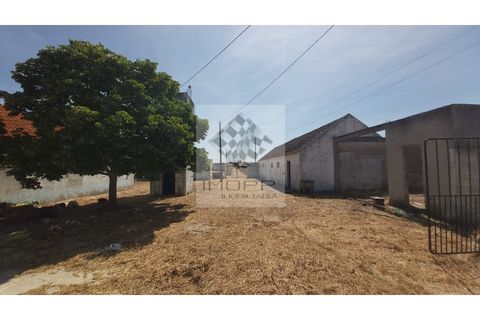 Farm i Palmela, Setubal, Palmela - € 385.000 | Ref: IMOPP-00281 - foto 11