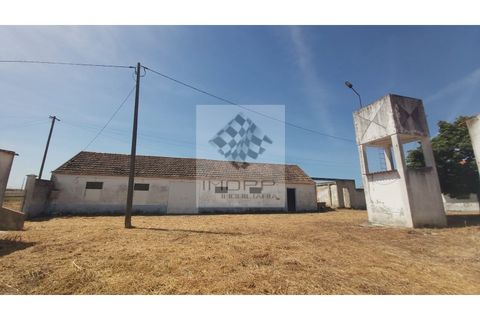 Farm i Palmela, Setubal, Palmela - € 385.000 | Ref: IMOPP-00281 - foto 12