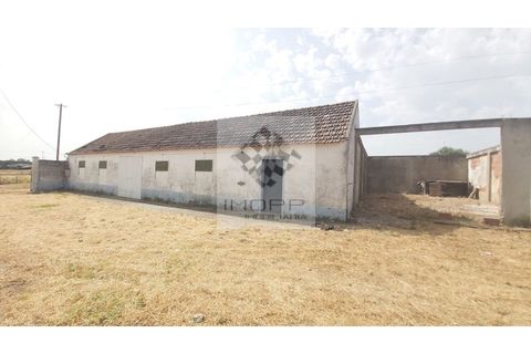 Farm i Palmela, Setubal, Palmela - € 385.000 | Ref: IMOPP-00281 - foto 13