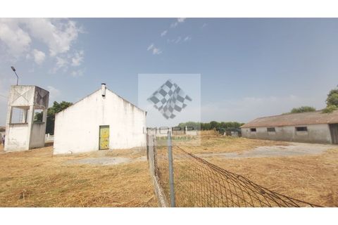 Farm i Palmela, Setubal, Palmela - € 385.000 | Ref: IMOPP-00281 - foto 15
