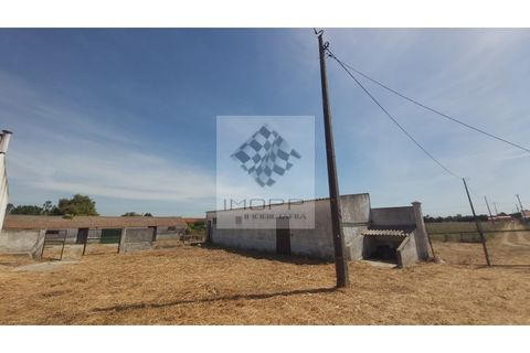 Farm i Palmela, Setubal, Palmela - € 385.000 | Ref: IMOPP-00281 - foto 16
