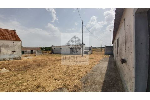 Farm i Palmela, Setubal, Palmela - € 385.000 | Ref: IMOPP-00281 - foto 17