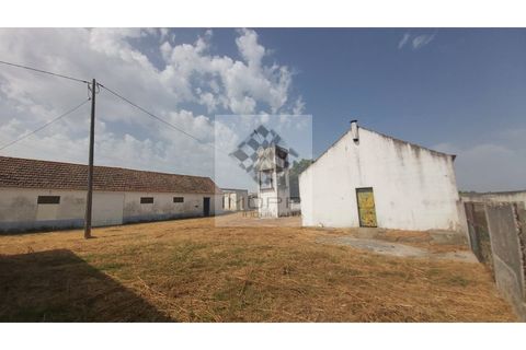 Farm i Palmela, Setubal, Palmela - € 385.000 | Ref: IMOPP-00281 - foto 18