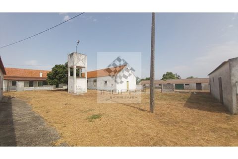 Farm i Palmela, Setubal, Palmela - € 385.000 | Ref: IMOPP-00281 - foto 21