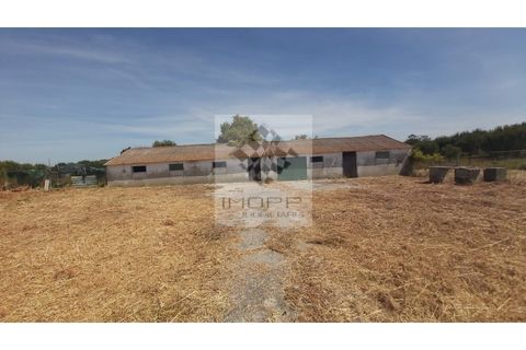 Farm i Palmela, Setubal, Palmela - € 385.000 | Ref: IMOPP-00281 - foto 22