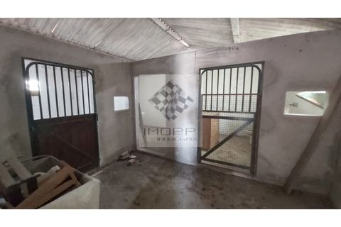 Farm i Palmela, Setubal, Palmela - € 385.000 | Ref: IMOPP-00281 - foto 23