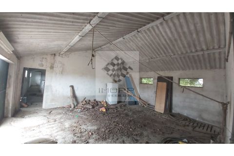 Farm i Palmela, Setubal, Palmela - € 385.000 | Ref: IMOPP-00281 - foto 24