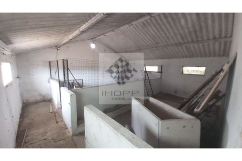 Farm i Palmela, Setubal, Palmela - € 385.000 | Ref: IMOPP-00281 - foto 25