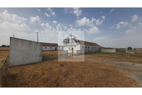 Farm i Palmela, Setubal, Palmela - € 385.000 | Ref: IMOPP-00281 - foto 26