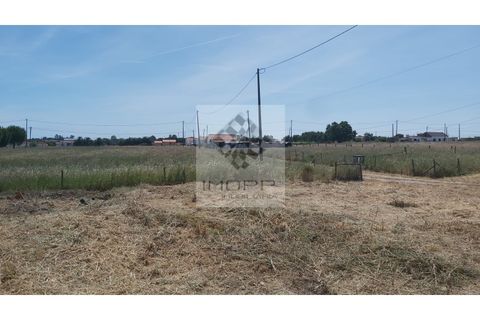 Farm i Palmela, Setubal, Palmela - € 385.000 | Ref: IMOPP-00281 - foto 27