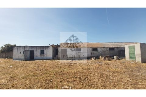 Farm i Palmela, Setubal, Palmela - € 385.000 | Ref: IMOPP-00281 - foto 28