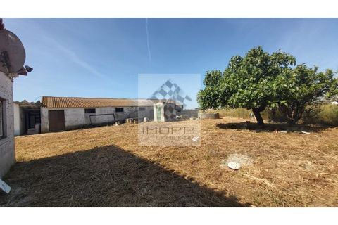 Farm i Palmela, Setubal, Palmela - € 385.000 | Ref: IMOPP-00281 - foto 29
