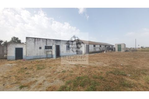 Farm i Palmela, Setubal, Palmela - € 385.000 | Ref: IMOPP-00281 - foto 30