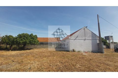 Farm i Palmela, Setubal, Palmela - € 385.000 | Ref: IMOPP-00281 - foto 31