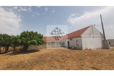 Farm i Palmela, Setubal, Palmela - € 385.000 | Ref: IMOPP-00281 - foto 33