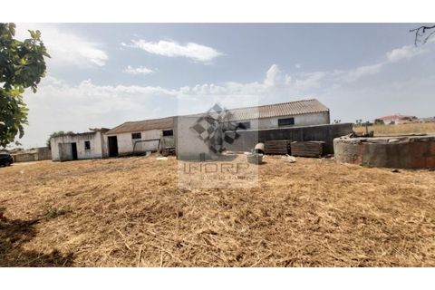 Farm i Palmela, Setubal, Palmela - € 385.000 | Ref: IMOPP-00281 - foto 34