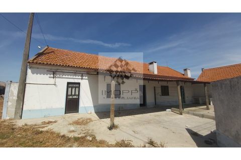 Farm i Palmela, Setubal, Palmela - € 385.000 | Ref: IMOPP-00281 - foto 35