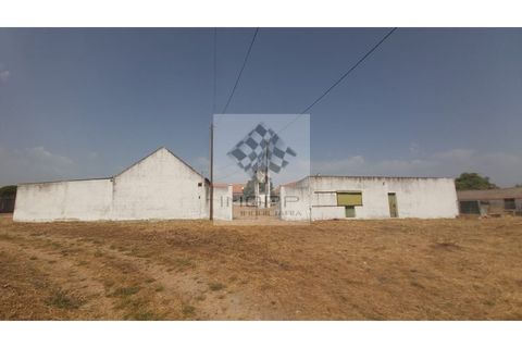 Farm i Palmela, Setubal, Palmela - € 385.000 | Ref: IMOPP-00281 - foto 36