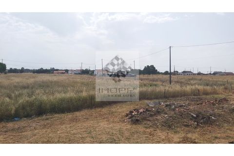 Farm i Palmela, Setubal, Palmela - € 385.000 | Ref: IMOPP-00281 - foto 37