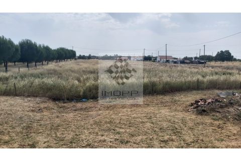 Farm i Palmela, Setubal, Palmela - € 385.000 | Ref: IMOPP-00281 - foto 38