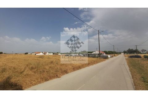 Farm i Palmela, Setubal, Palmela - € 385.000 | Ref: IMOPP-00281 - foto 39
