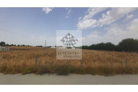 Farm i Palmela, Setubal, Palmela - € 385.000 | Ref: IMOPP-00281 - foto 40
