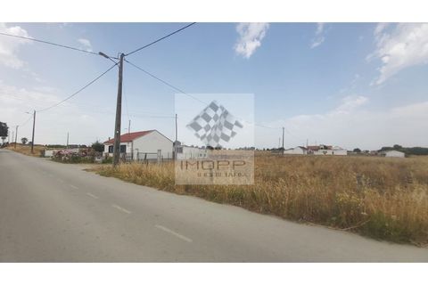 Farm i Palmela, Setubal, Palmela - € 385.000 | Ref: IMOPP-00281 - foto 41