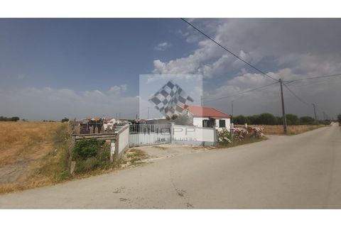 Farm i Palmela, Setubal, Palmela - € 385.000 | Ref: IMOPP-00281 - foto 42