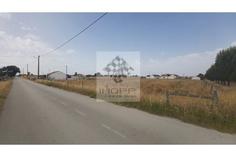 Farm i Palmela, Setubal, Palmela - € 385.000 | Ref: IMOPP-00281 - foto 43