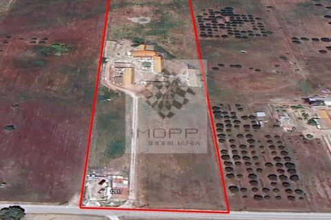 Farm i Palmela, Setubal, Palmela - € 385.000 | Ref: IMOPP-00281 - foto 44