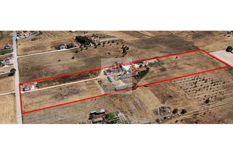 Farm i Palmela, Setubal, Palmela - € 385.000 | Ref: IMOPP-00281 - foto 45