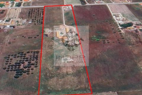 Farm i Palmela, Setubal, Palmela - € 385.000 | Ref: IMOPP-00281 - foto 46