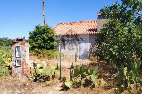 Tomt i Couco, Santarem, Couco - € 127 500 | Ref: IMOPP-00096 - foto 1