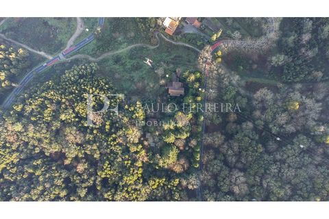 Farm i Guimaraes, Braga, Guimaraes - € 1.000.000 | Ref: MAS_469 - foto 2