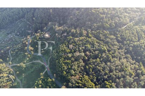 Farm i Guimaraes, Braga, Guimaraes - € 1.000.000 | Ref: MAS_469 - foto 3