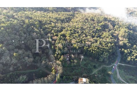 Farm i Guimaraes, Braga, Guimaraes - € 1.000.000 | Ref: MAS_469 - foto 4