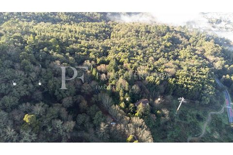 Farm i Guimaraes, Braga, Guimaraes - € 1.000.000 | Ref: MAS_469 - foto 5