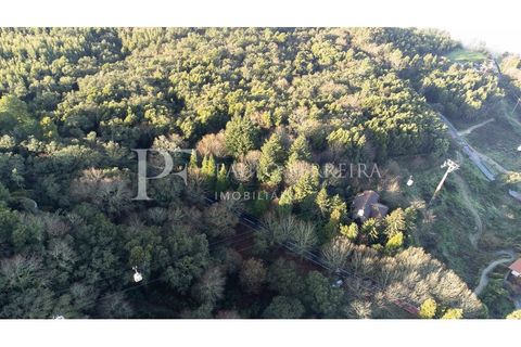 Farm i Guimaraes, Braga, Guimaraes - € 1.000.000 | Ref: MAS_469 - foto 6
