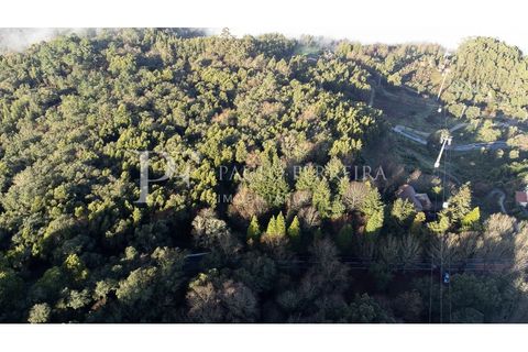 Farm i Guimaraes, Braga, Guimaraes - € 1.000.000 | Ref: MAS_469 - foto 7