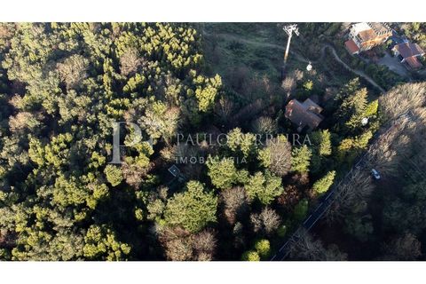 Farm i Guimaraes, Braga, Guimaraes - € 1.000.000 | Ref: MAS_469 - foto 8