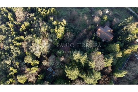 Farm i Guimaraes, Braga, Guimaraes - € 1.000.000 | Ref: MAS_469 - foto 9