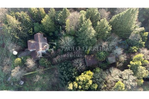 Farm i Guimaraes, Braga, Guimaraes - € 1.000.000 | Ref: MAS_469 - foto 10