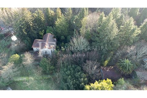 Farm i Guimaraes, Braga, Guimaraes - € 1.000.000 | Ref: MAS_469 - foto 11