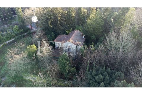 Farm i Guimaraes, Braga, Guimaraes - € 1.000.000 | Ref: MAS_469 - foto 12