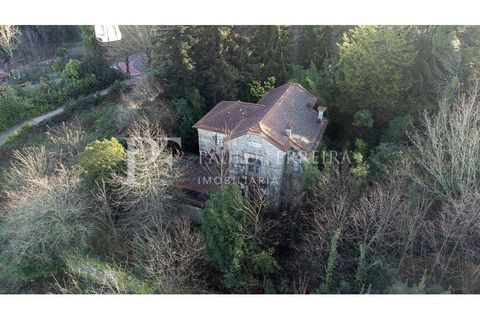 Farm i Guimaraes, Braga, Guimaraes - € 1.000.000 | Ref: MAS_469 - foto 13